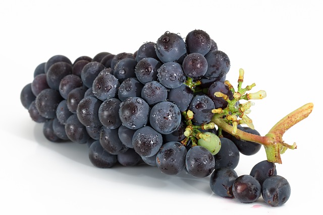 葡萄 束 水果 - 上的免费照片