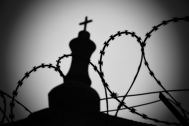 金属丝 尖峰 铁丝网 - 上的免费照片