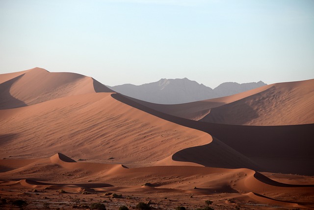 纳米比亚 沙漠 沙 - 上的免费照片