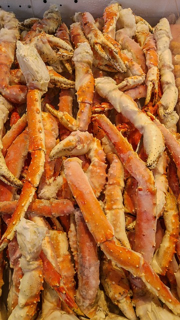 贝类 蟹 钳 - 上的免费照片