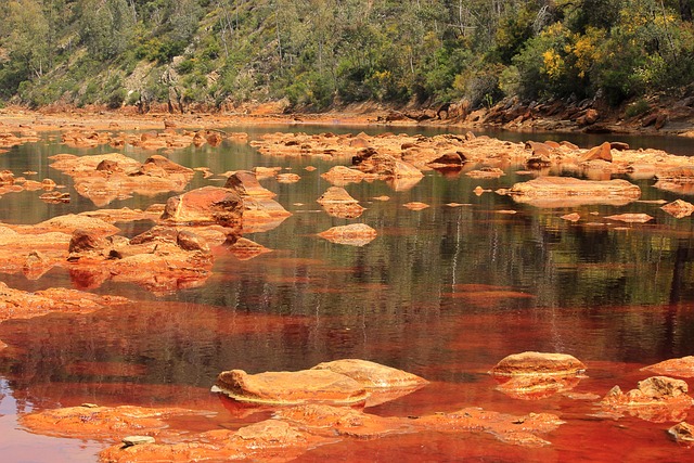 红河 韦尔瓦 自然 - 上的免费照片