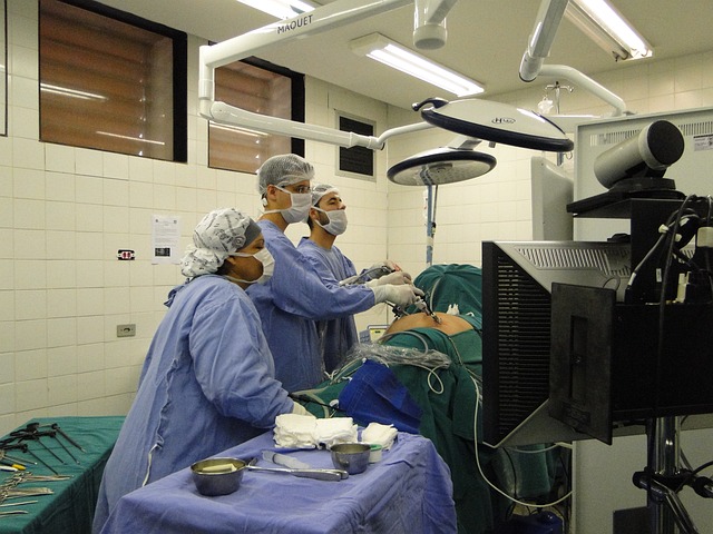 手术 肾切除术 腹腔镜检查 - 上的免费照片