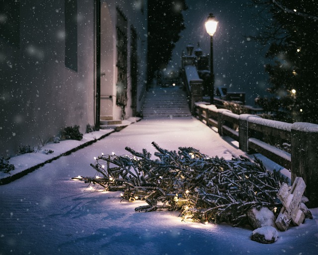 圣诞节 雪 街道 - 上的免费照片