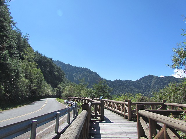 阿里山國家公園 山 自然 - 上的免费照片