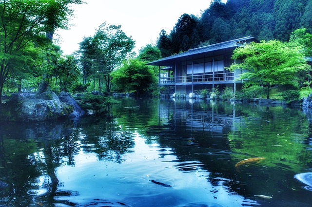日本 日本花园 池塘 - 上的免费照片