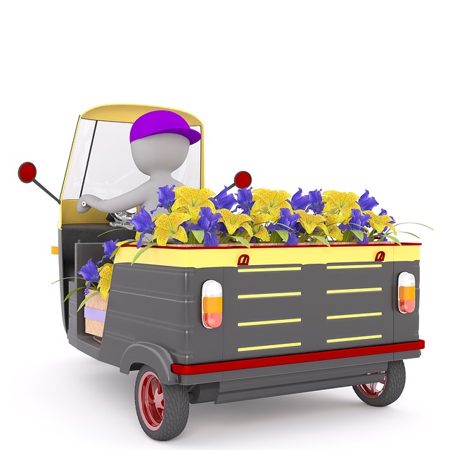 男性 3D 模型 孤立 - 上的免费图片