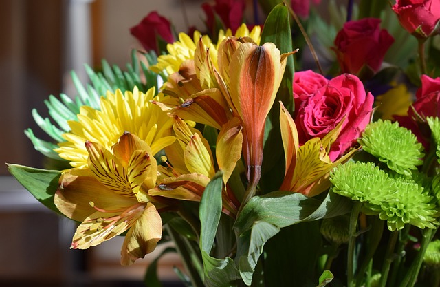 Alstroemeria 秘鲁百合 菊花 - 上的免费照片