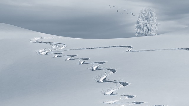 寒冷的 雪 野外滑雪 - 上的免费照片