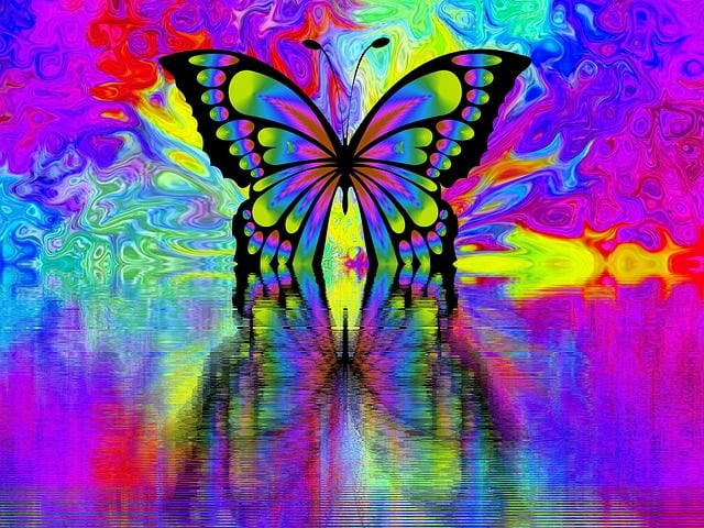 蝴蝶 Butterfy 春天 - 上的免费图片