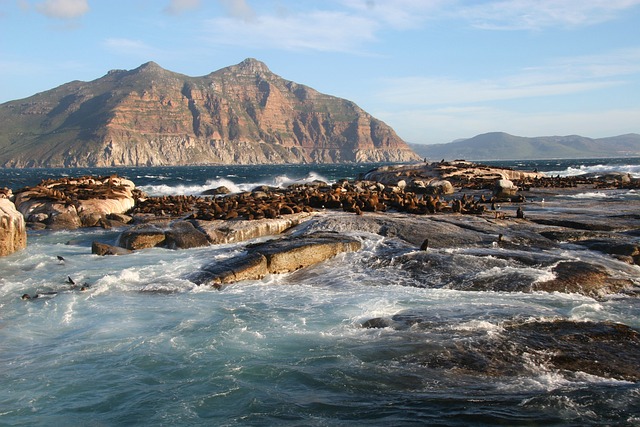 小羚羊岛 南非 岬 - 上的免费照片