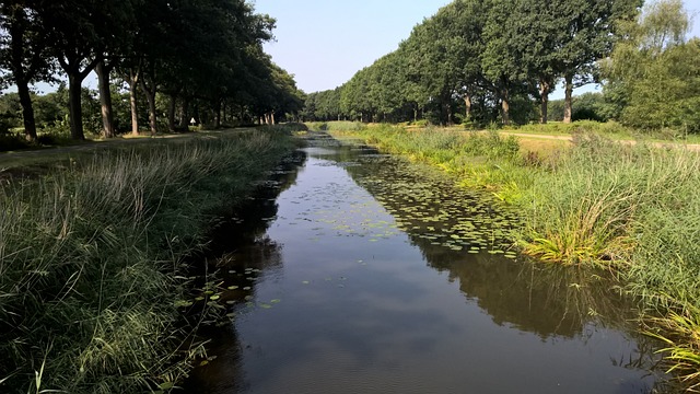 阿尔默洛运河在Nordhorn 渠道 水 - 上的免费照片
