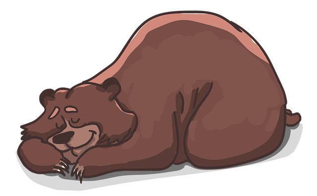 熊 谎言 睡眠 - 上的免费图片