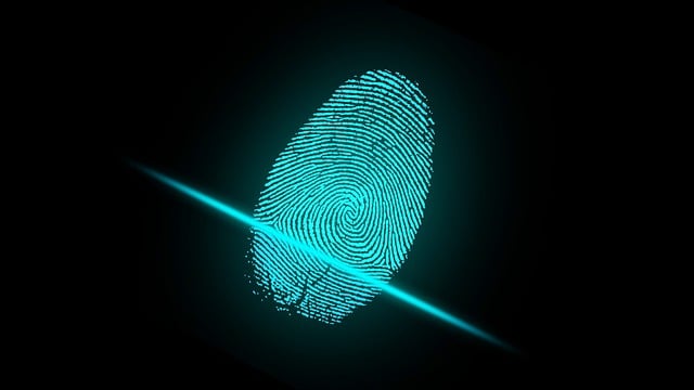 手指 指纹 安全 - 上的免费图片