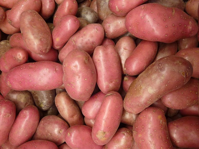 土豆 蔬菜 有机的 - 上的免费照片