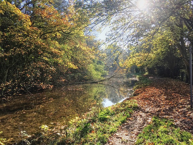 风景 场景 户外 - 上的免费照片