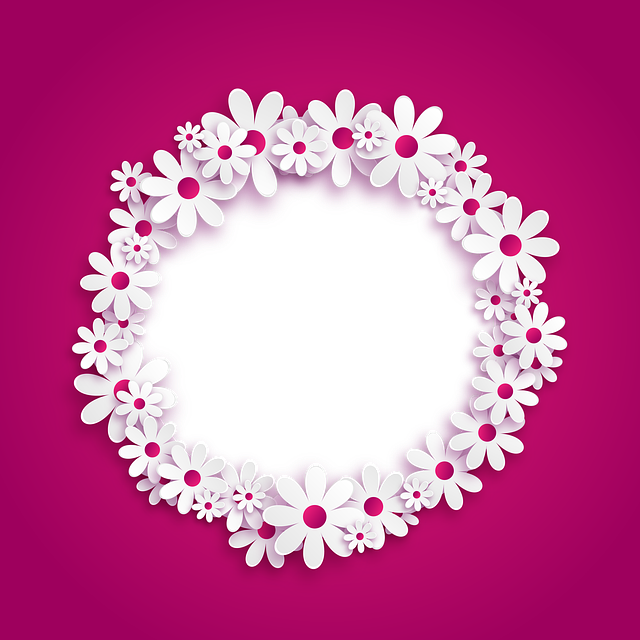相框 透明背景 花朵 - 上的免费图片
