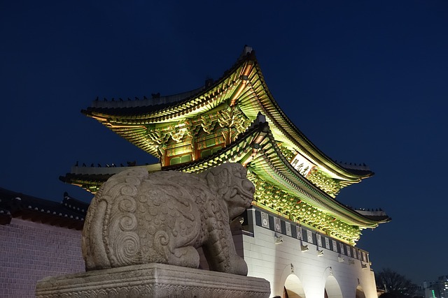 光化门 夜景 世宗路 - 上的免费照片