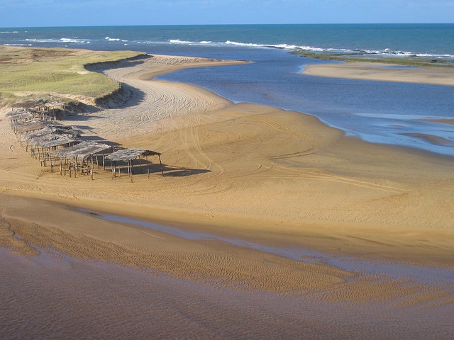 Mangue 海 - 上的免费照片