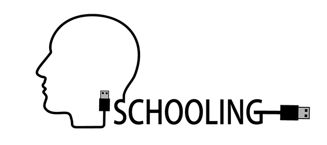 学习 学校 Usb - 上的免费图片