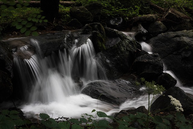 森林 谷 Geomdan 山 - 上的免费照片