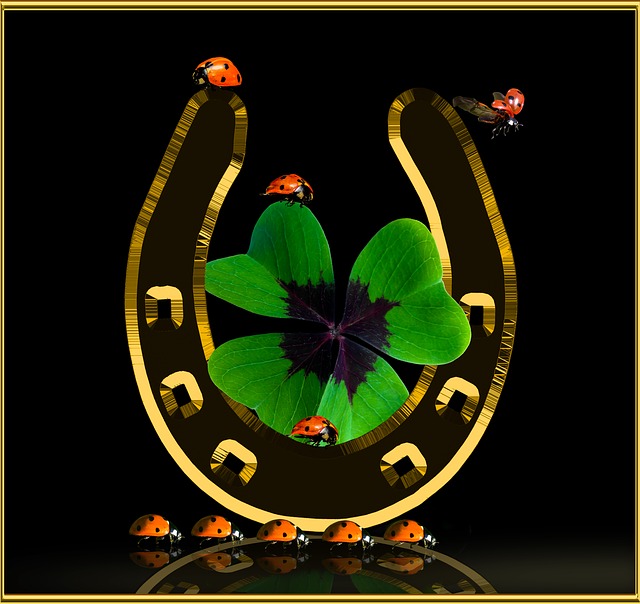 象征 幸福 幸运四叶草 - 上的免费图片