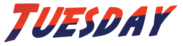 周二 天 极好的 - 上的免费图片