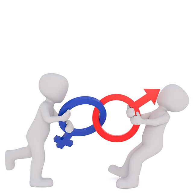 平等 性别 女士 - 上的免费图片