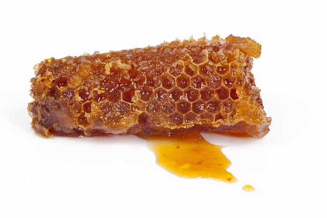 蜂窝状 蜜糖 蜜蜂 - 上的免费照片