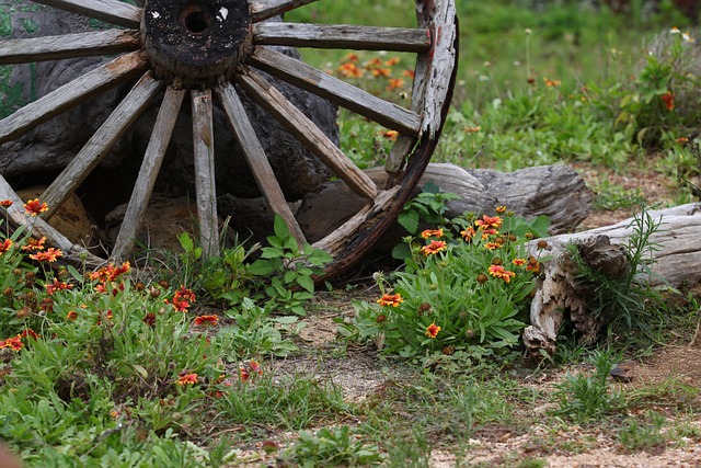 自然 農村 破舊 - 上的免费照片
