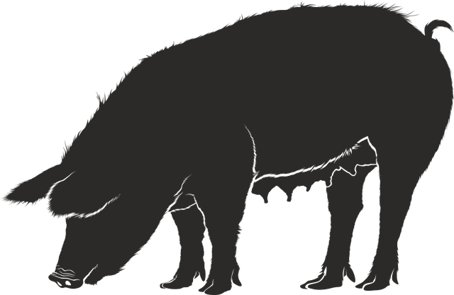 猪 猪肉 母猪 - 免费矢量图形