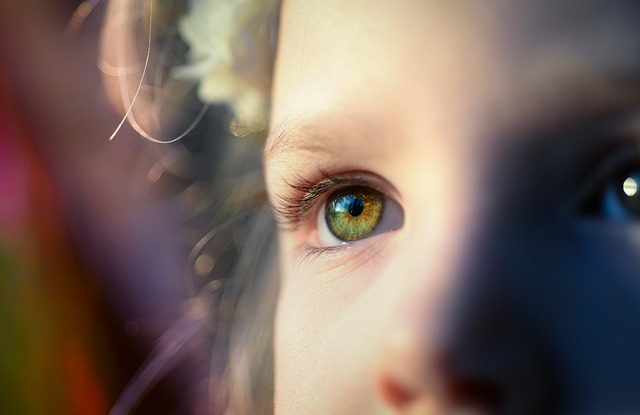 女孩 虹膜 眼睛 - 上的免费照片