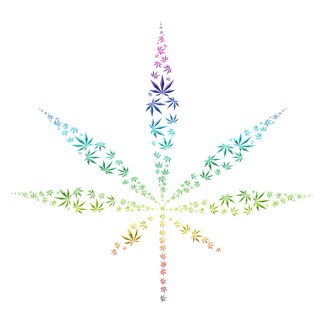大麻 杂草 麻 - 上的免费图片