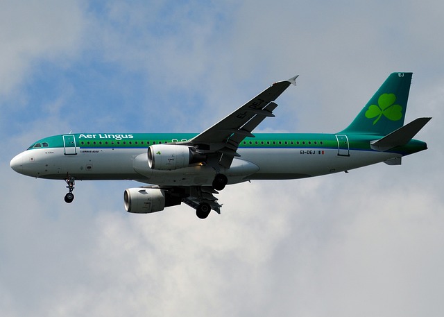 Aer Lingus 飞机 天空 - 上的免费照片