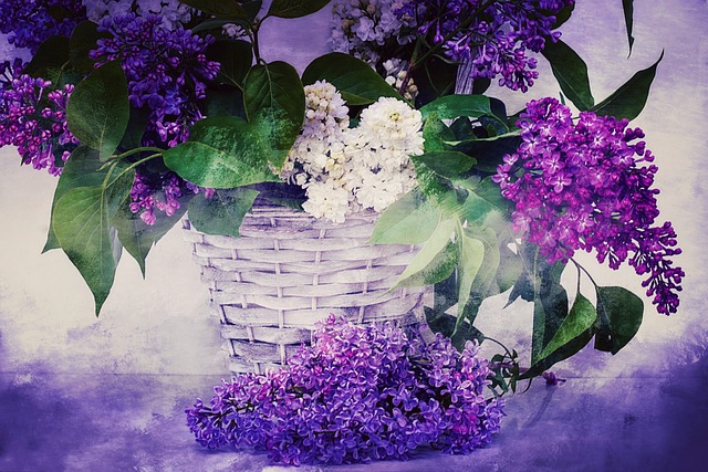 质地 背景 紫丁香 - 上的免费照片