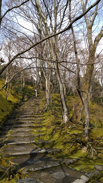 日本 嵐山 常寂光寺 - 上的免费照片