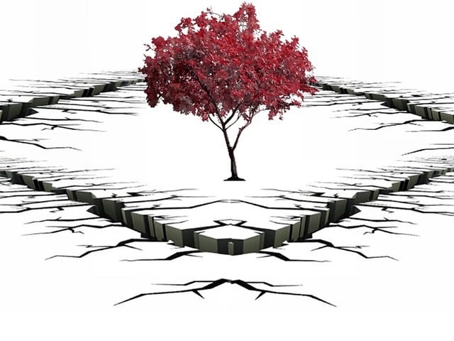 裂缝 树 孤树 - 上的免费图片