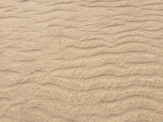 砂 沙丘 沙色 - 上的免费照片