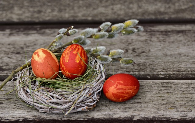 复活节彩蛋 复活节巢 复活节的装饰 - 上的免费照片