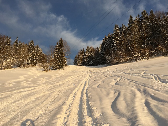 雪 穷乡僻壤Skiiing 山 - 上的免费照片
