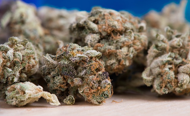 大麻 杂草 锅 - 上的免费照片