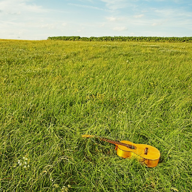 吉他 国家 音乐 - 上的免费照片