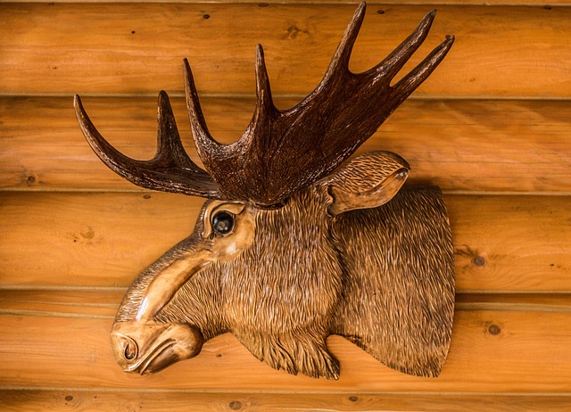 鹿 头 动物 - 上的免费照片