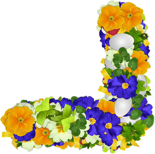 鲜花 报春花 Png - 上的免费图片