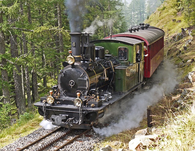 蒸汽机车 瑞士 齿轨 - 上的免费照片