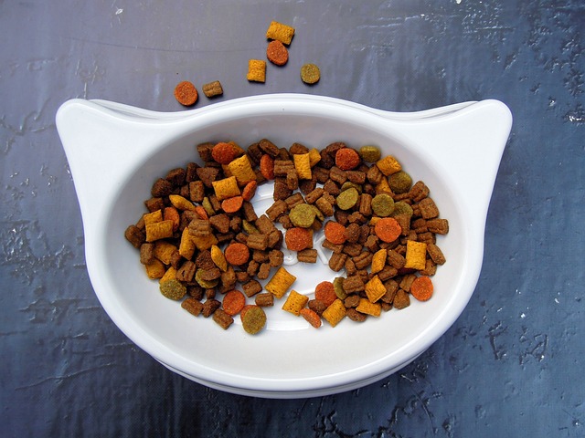 猫 食品 宠物食品 - 上的免费照片