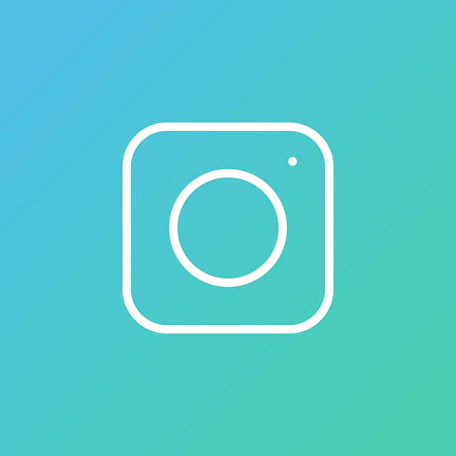 Instagram 安装 标志 - 免费矢量图形