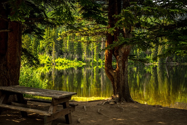 长椅 湖 公园 - 上的免费照片