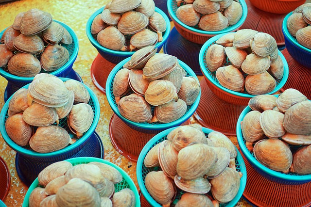 釜山 扎嘎其市场 鱼市场 - 上的免费照片