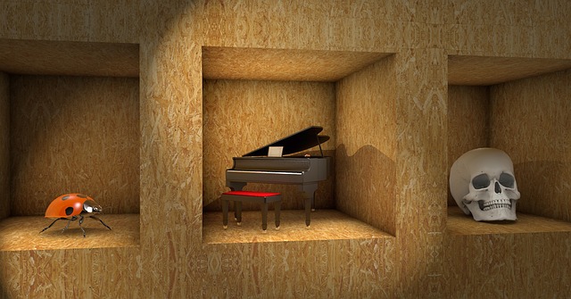 钢琴 颅骨 货架 - 上的免费图片