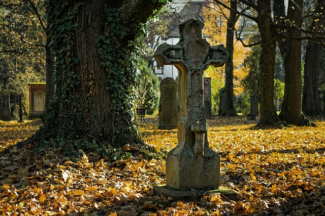 秋天 公墓 叉 - 上的免费照片